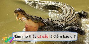 mo-thay-ca-sau-la-diem-bao-gi-1