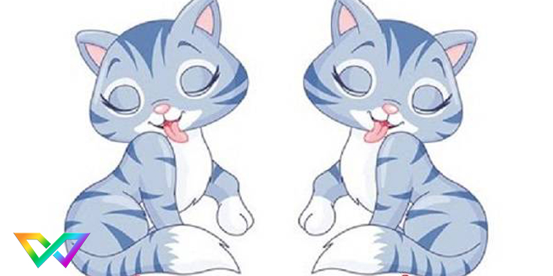 tuoi-mao-hop-mau-gi-tim-hieu-ve-tuoi-mao-4